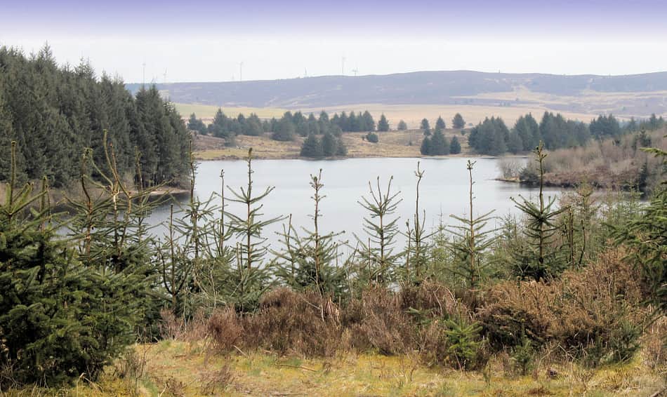 Llyn Brenig
