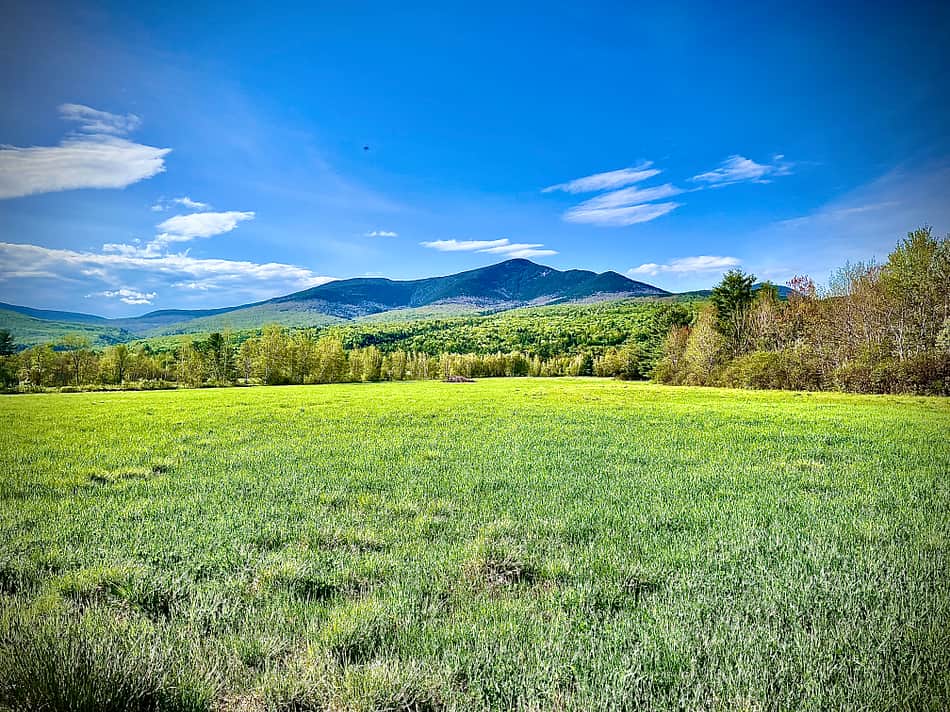 from the fields!
