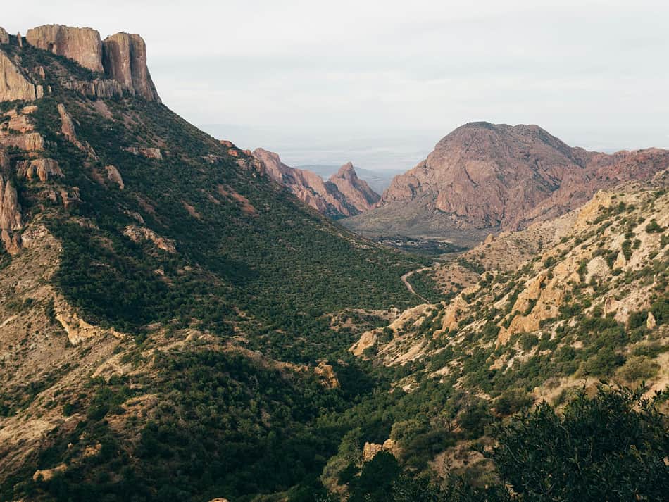 Cover photo for Big Bend National Park