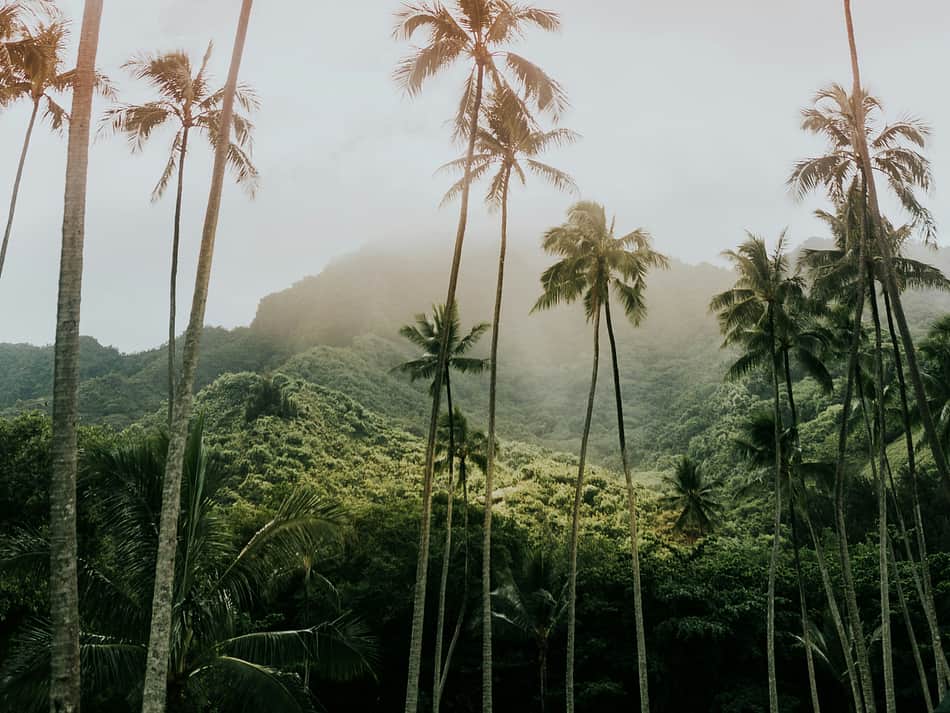 Cover photo for Hawai'i Volcanoes National Park