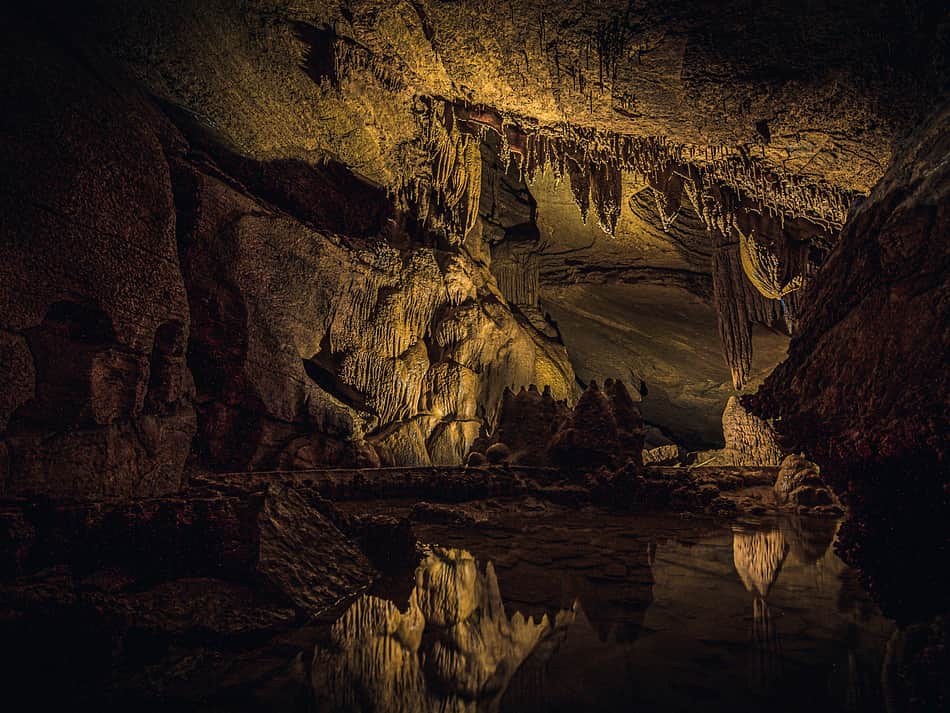 Cover photo for Carlsbad Caverns National Park