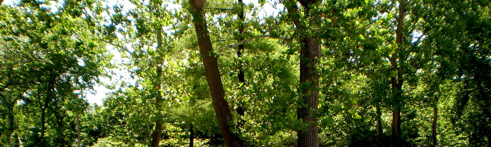 Channahon State Park