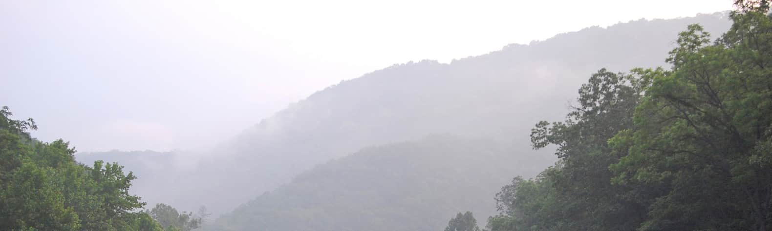 Monongahela National Forest