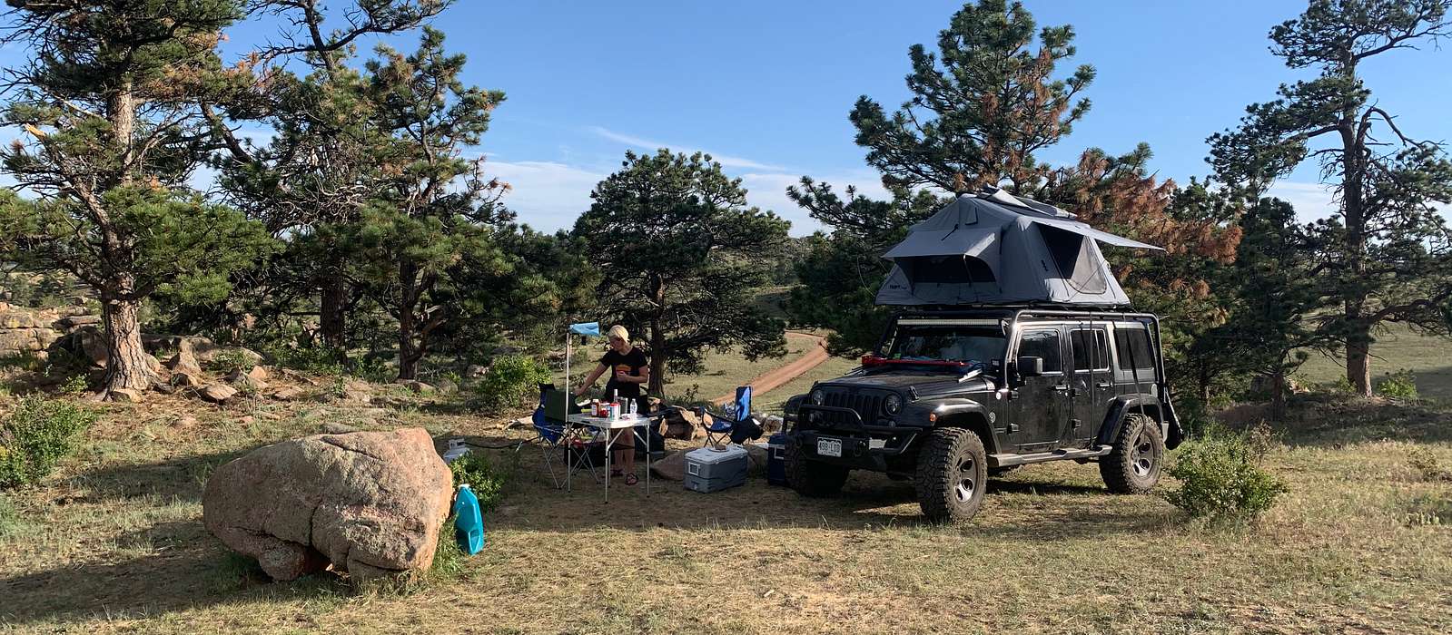 A scenic view of Black Hills National Forest