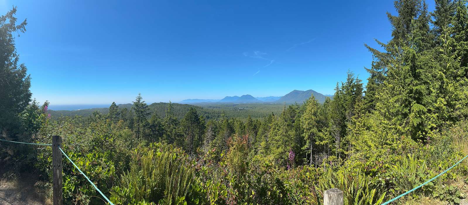 A scenic view of Tofino