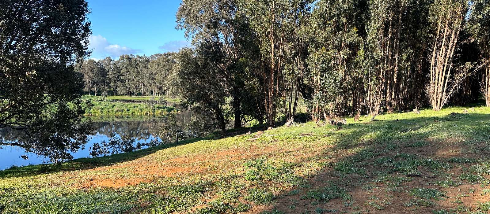A scenic view of Perth