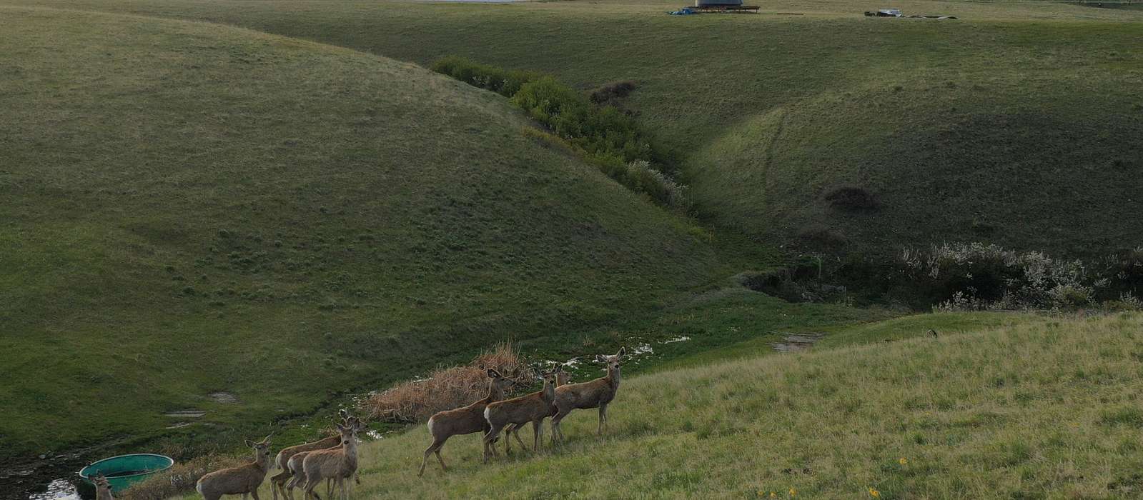 A scenic view of Billings