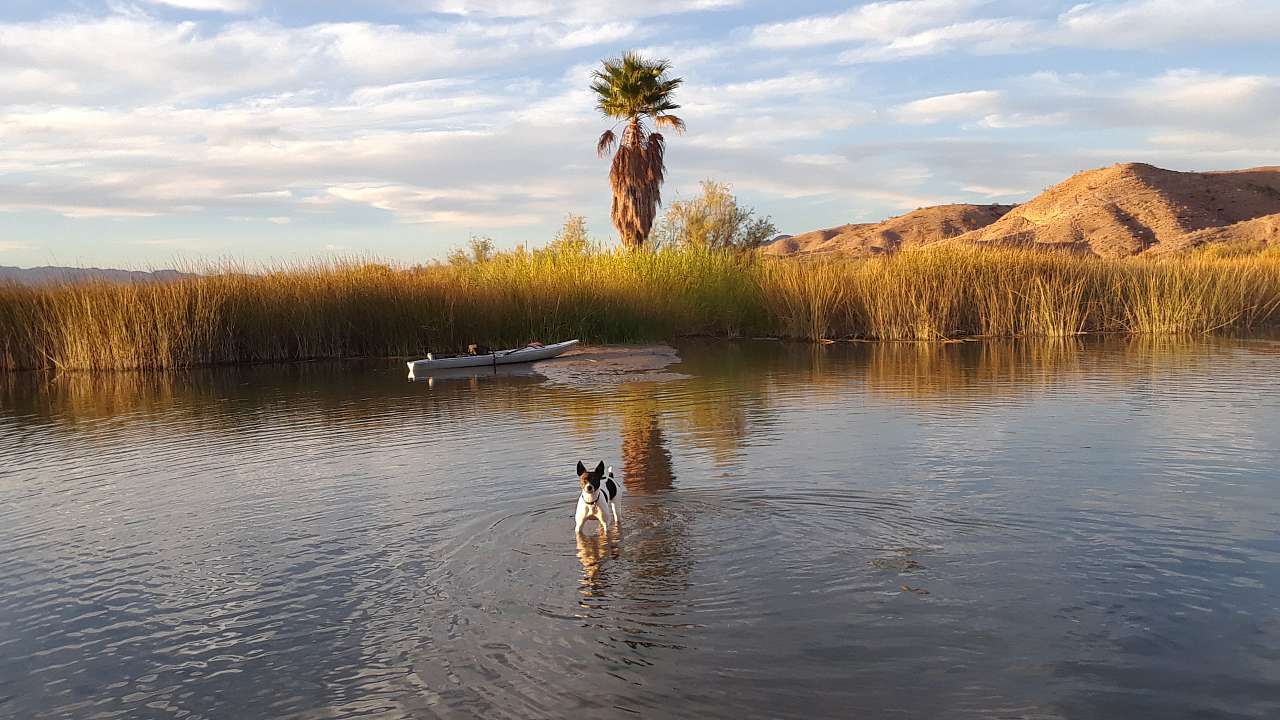 Desert's Edge at Lake Havasu, listing photo
