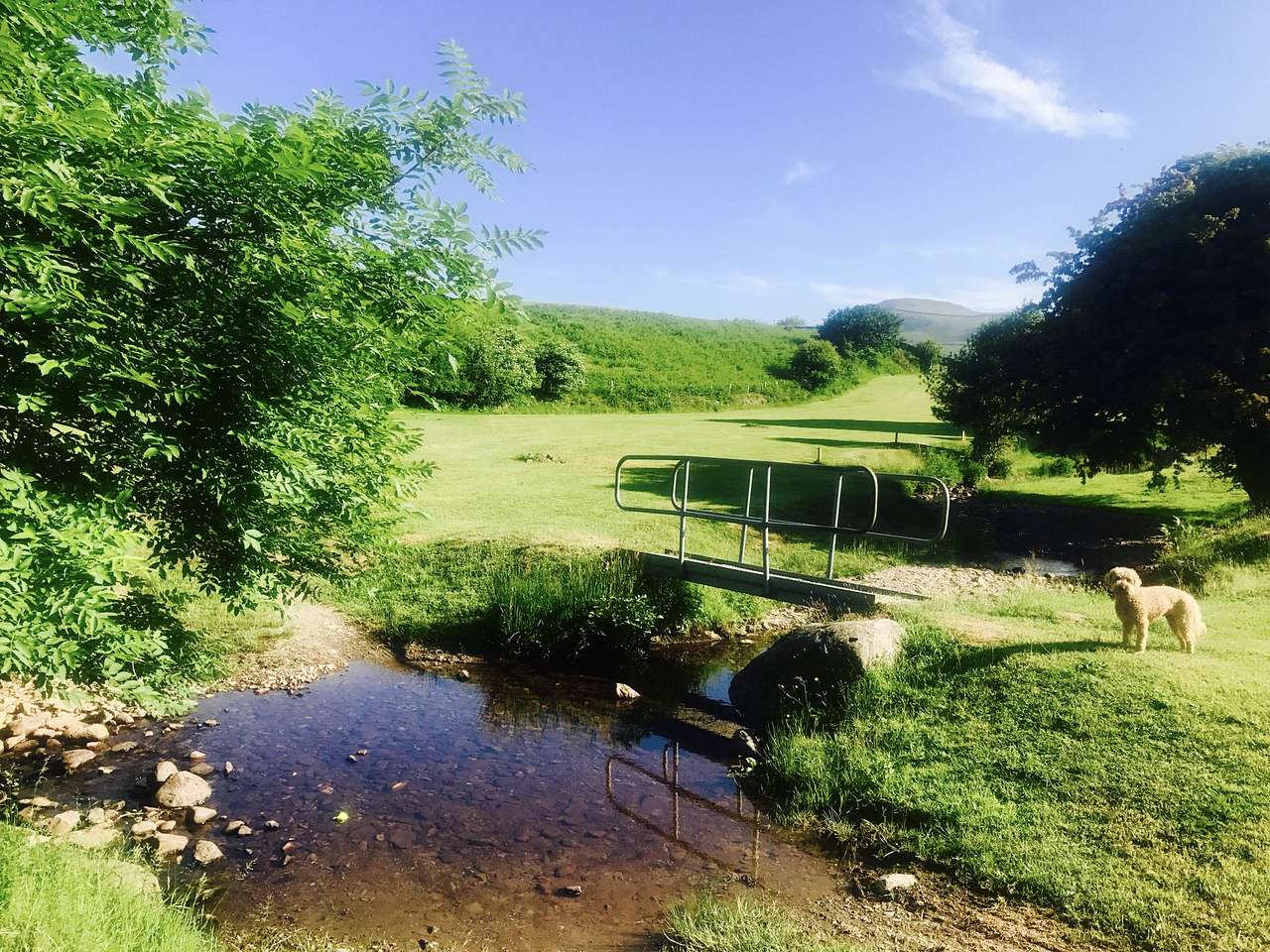 Picture of the site