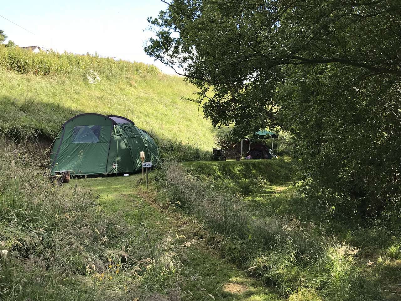 Picture of the site