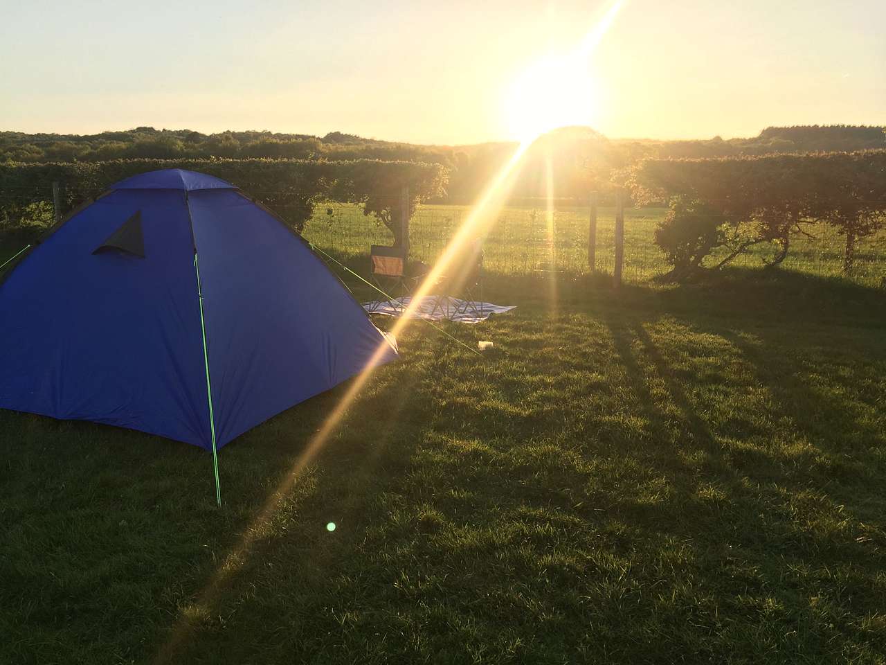 Picture of the site