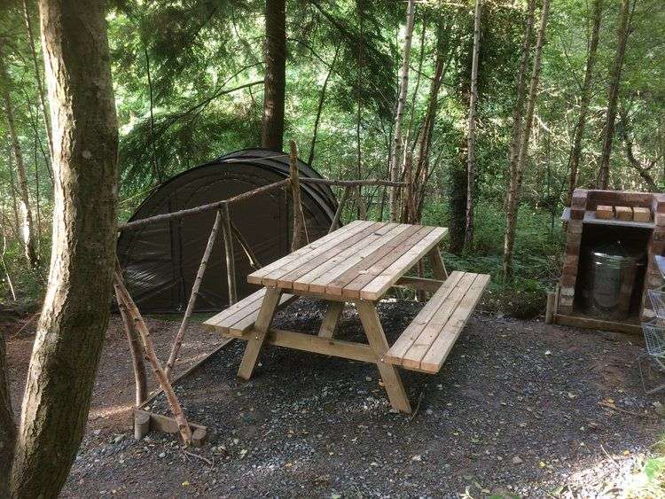 Picture of the site