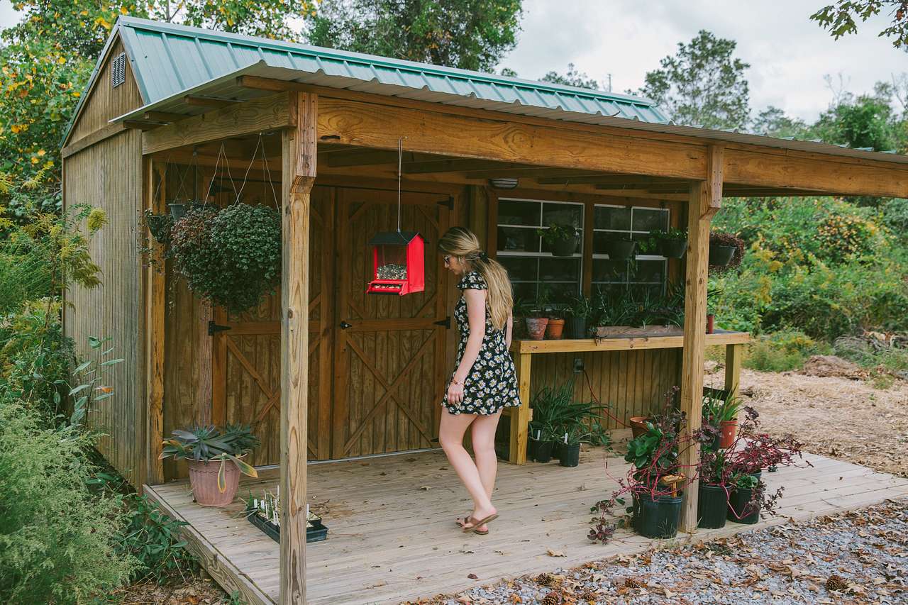 This super cute building used to be the main office way back when, now it holds succulents and honey. 