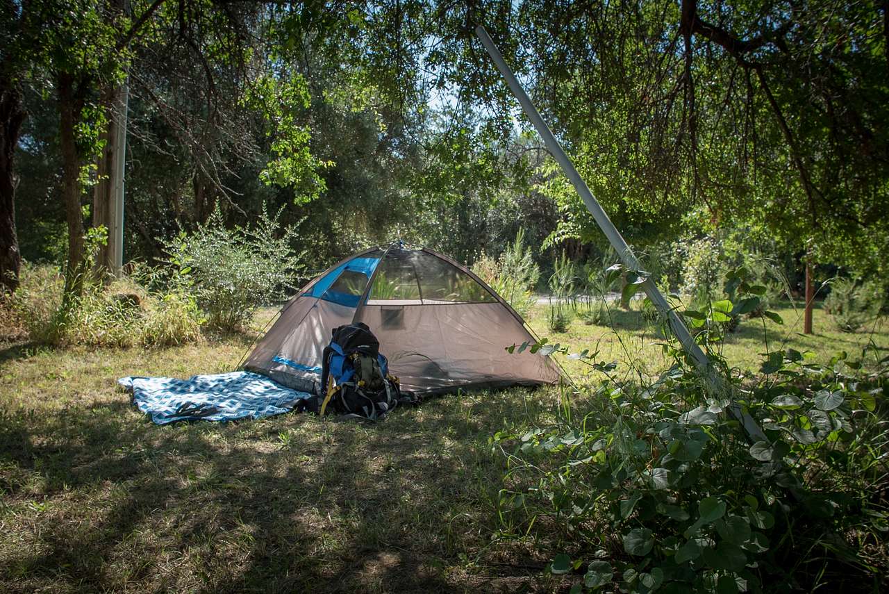 Best spot to put your tent is under the walnut tree so you wake up in the shade!