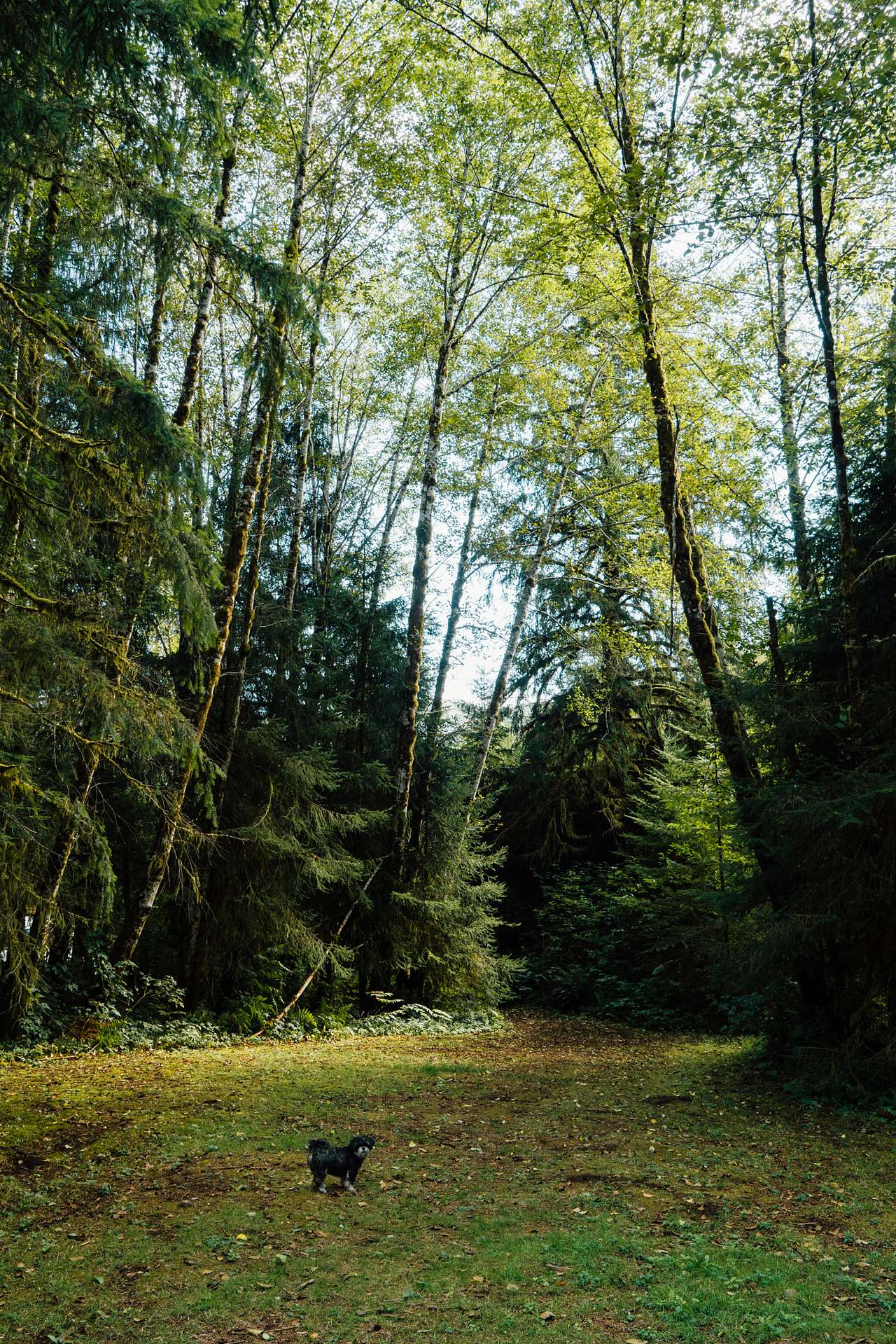 View more photos of Riverberry Retreat Camp