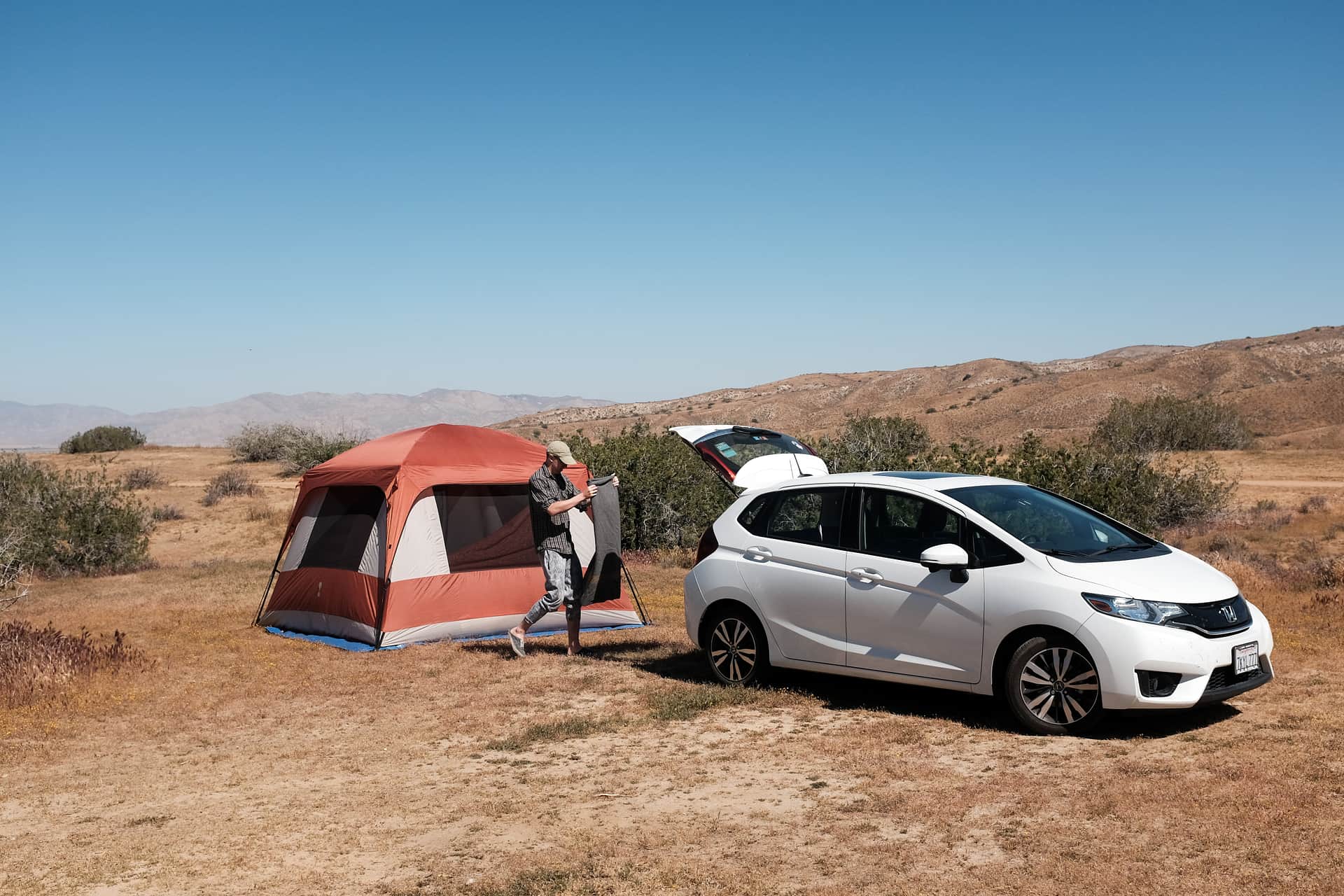 Picture of the site