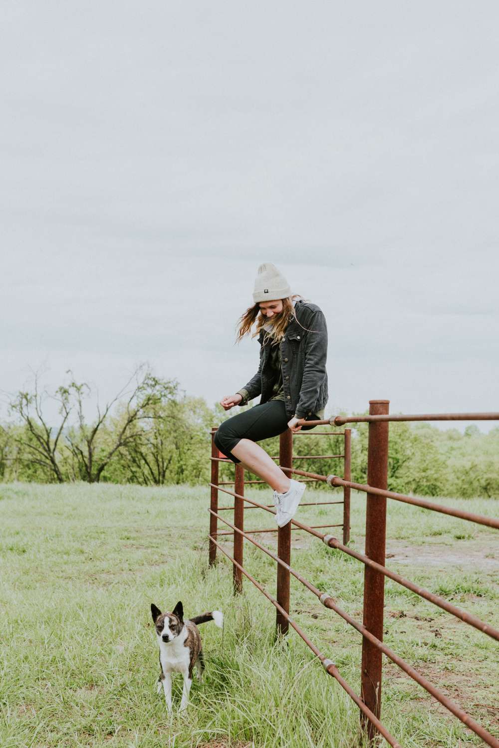 View pets photos of Selby Farm Camping