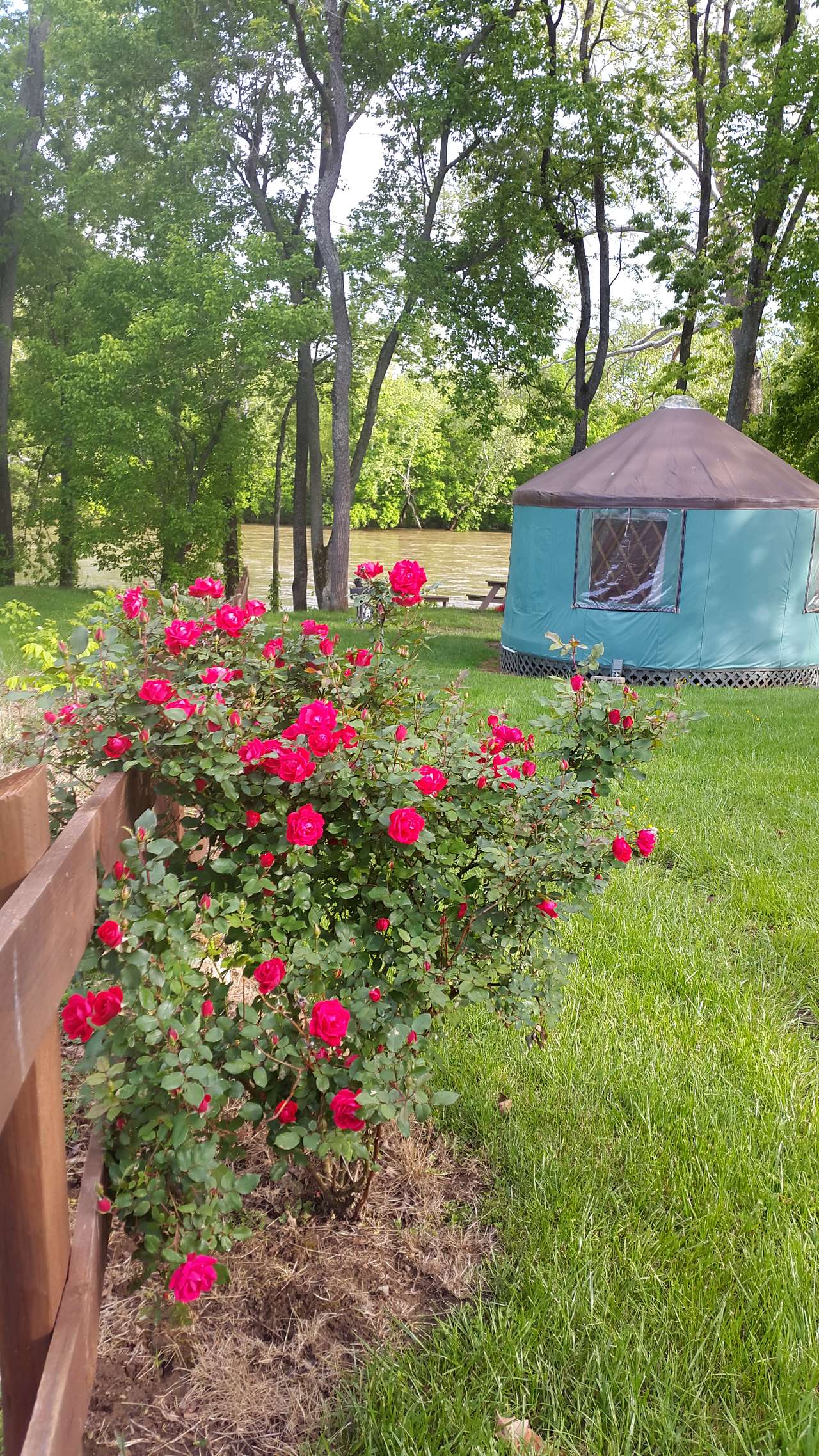 Picture of the site