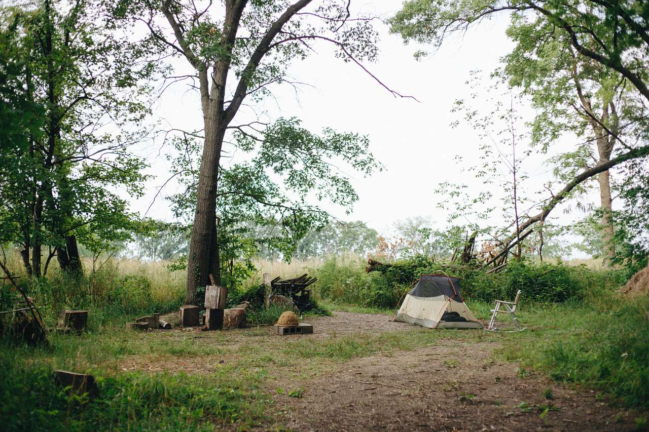 Picture of the site