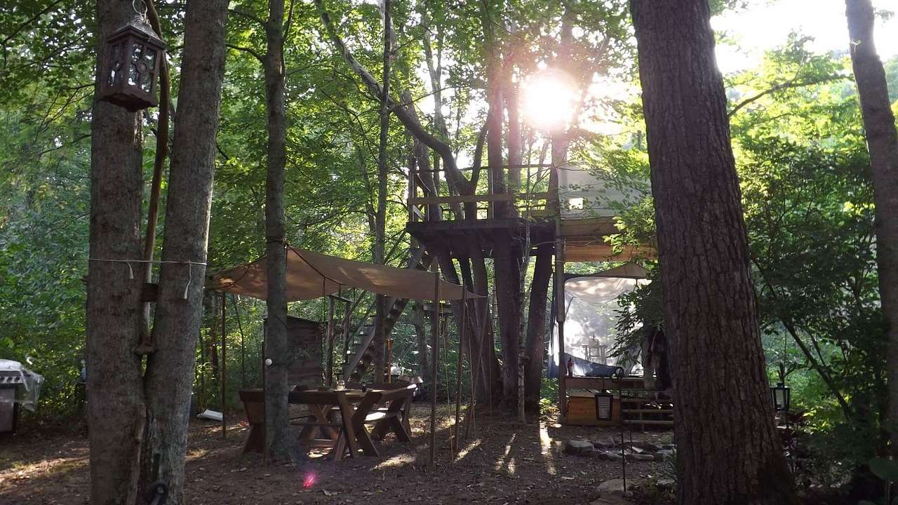 Picture of the site