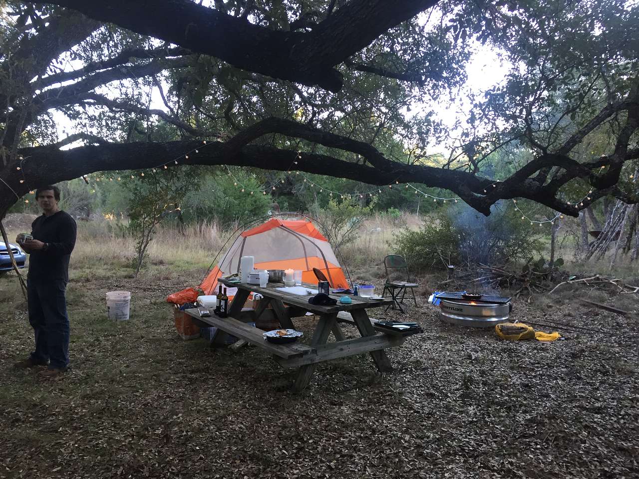 Picture of the site