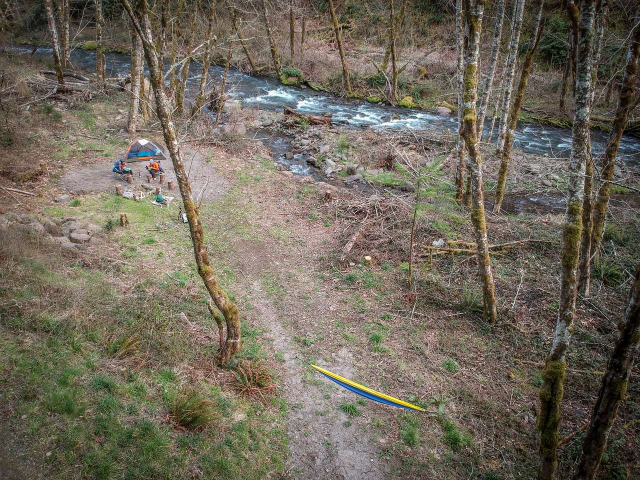 Picture of the site