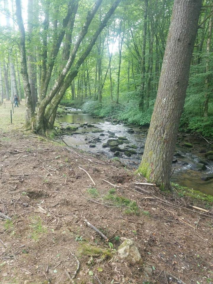 Picture of the site