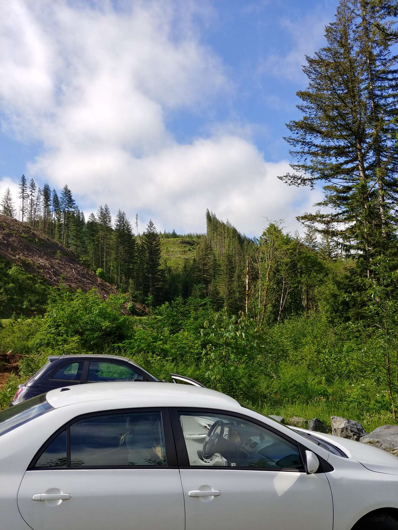 View rigs & rvs photos of Naked Falls
