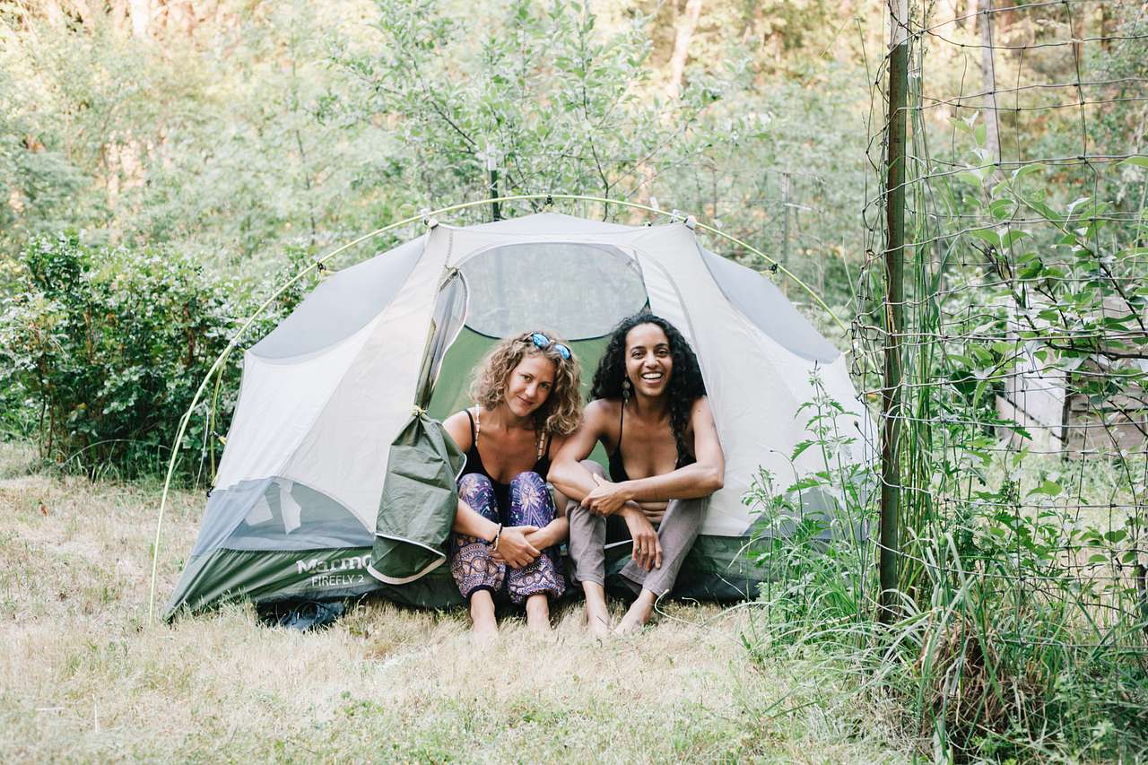 A sweet and private camping spot in the orchard at Johan and Liza's creekside homestead.