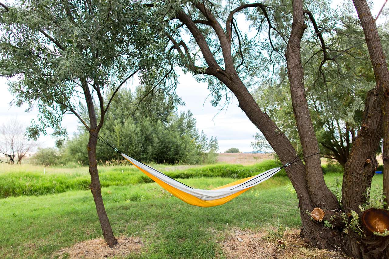 Perfect spot to relax