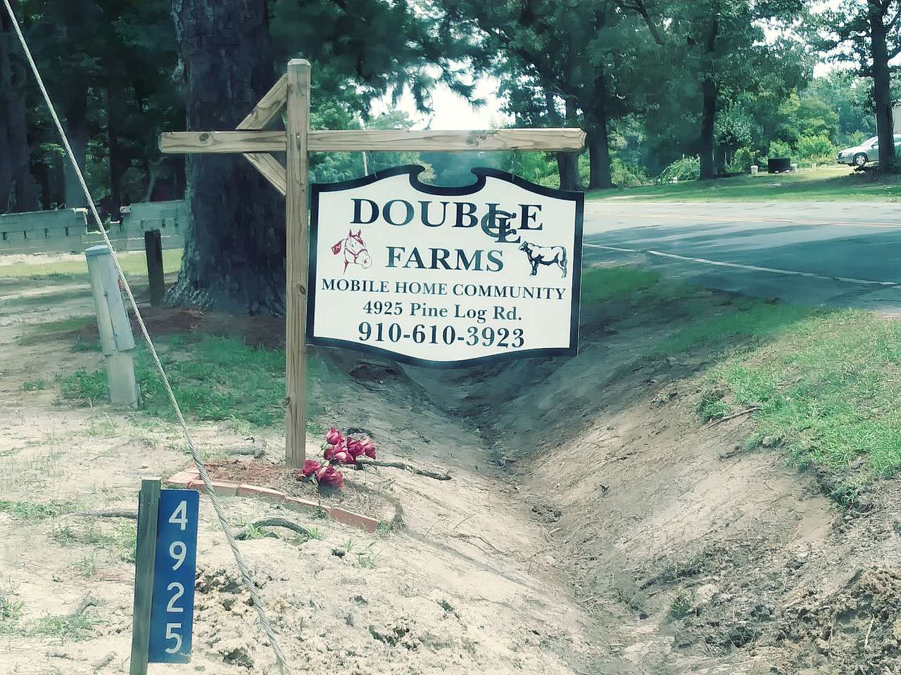 Picture of the site