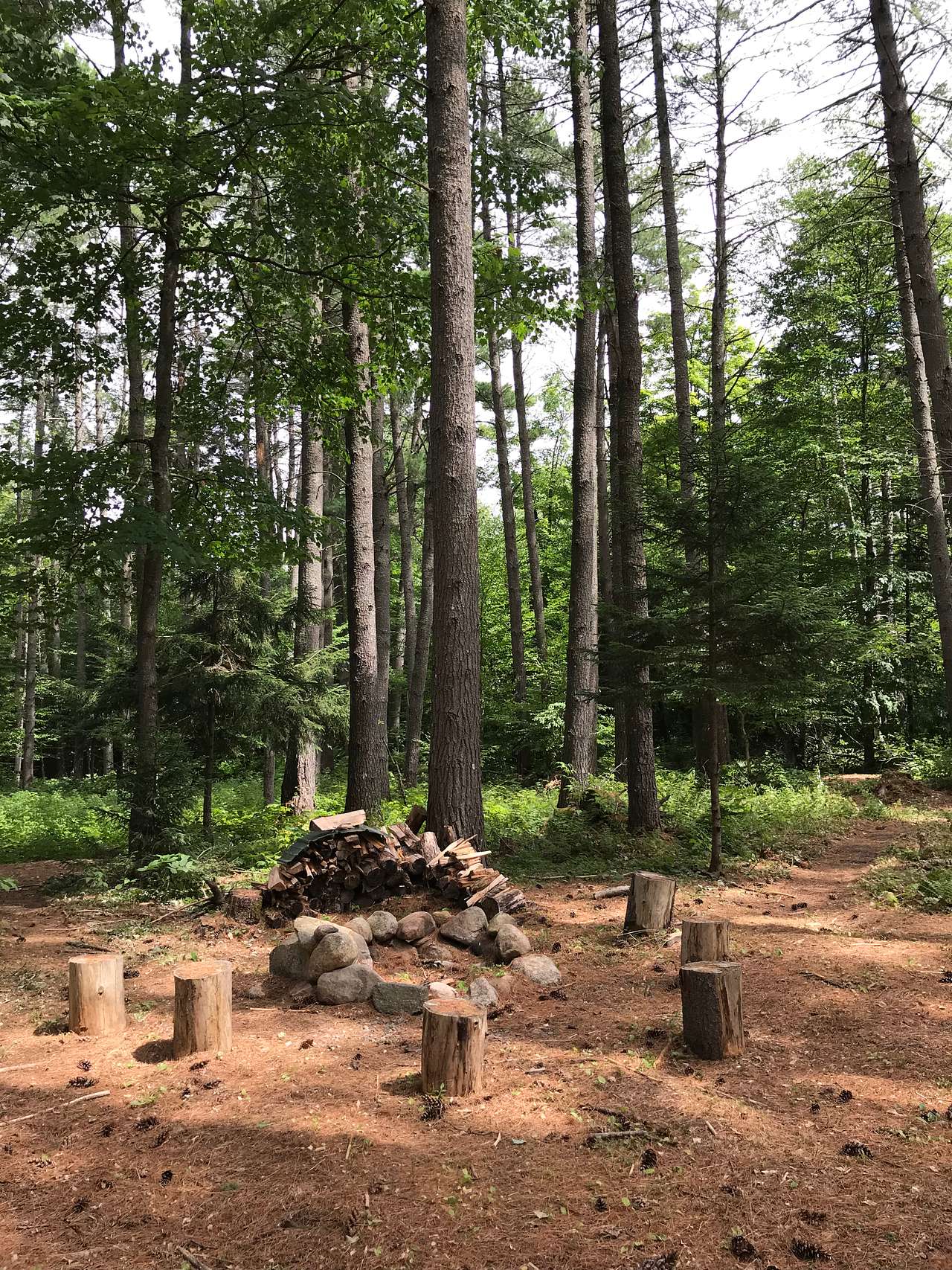 Picture of the site