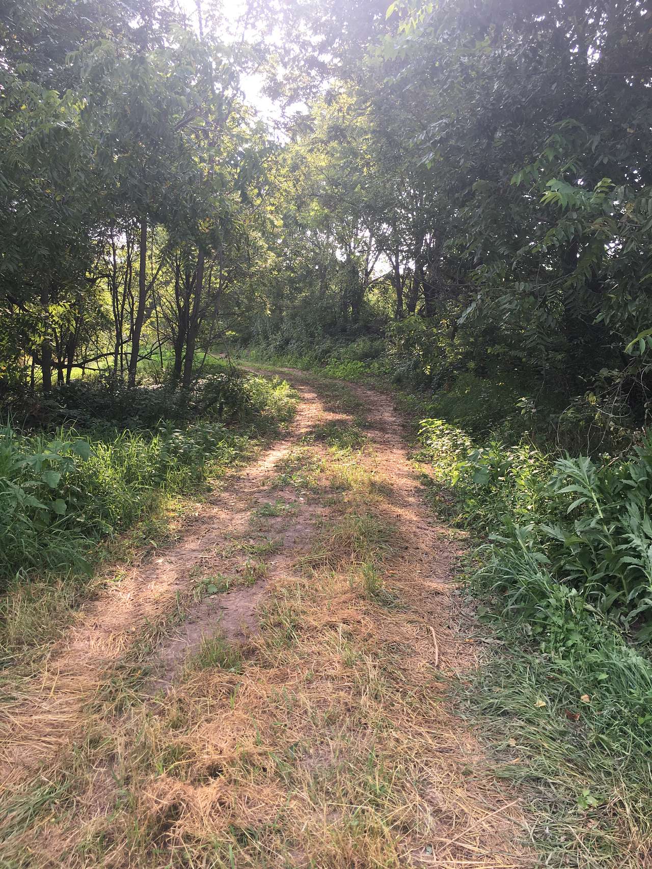 Secluded spot all to yourself 1 mile off the road. 4x4 when conditions allow or hike ATV or UTV back.