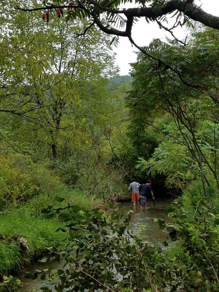 Picture of the site