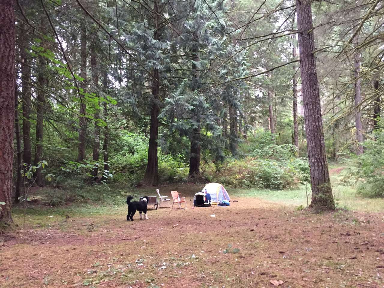 Picture of the site