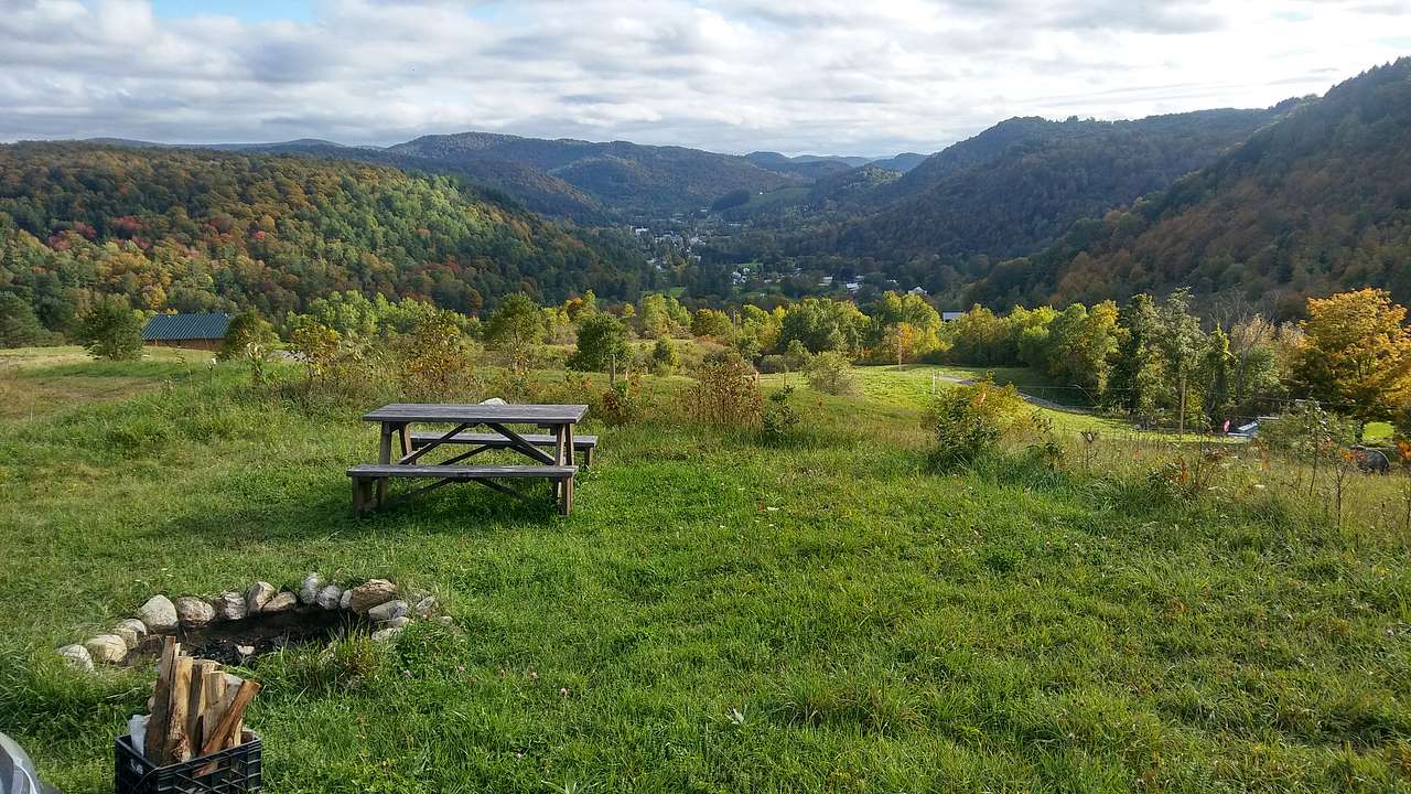 Picture of the site