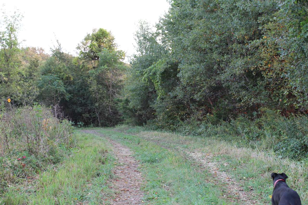 Hike back 1 mile off road