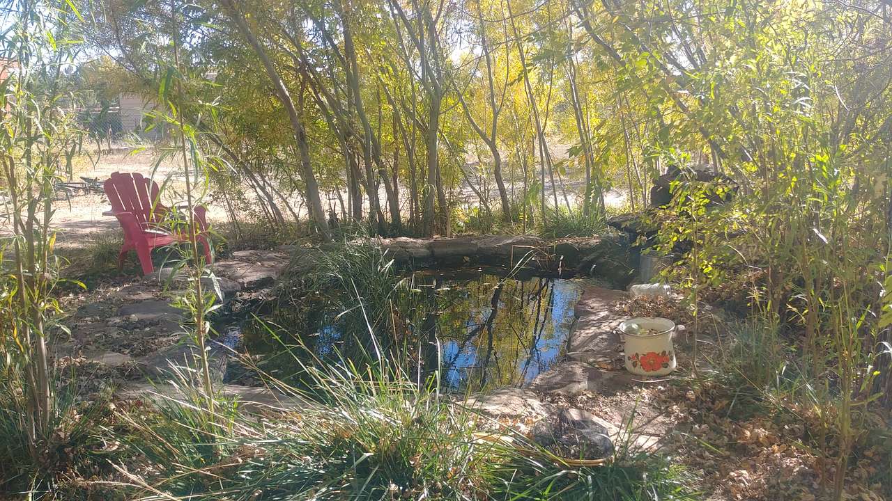 Picture of the site