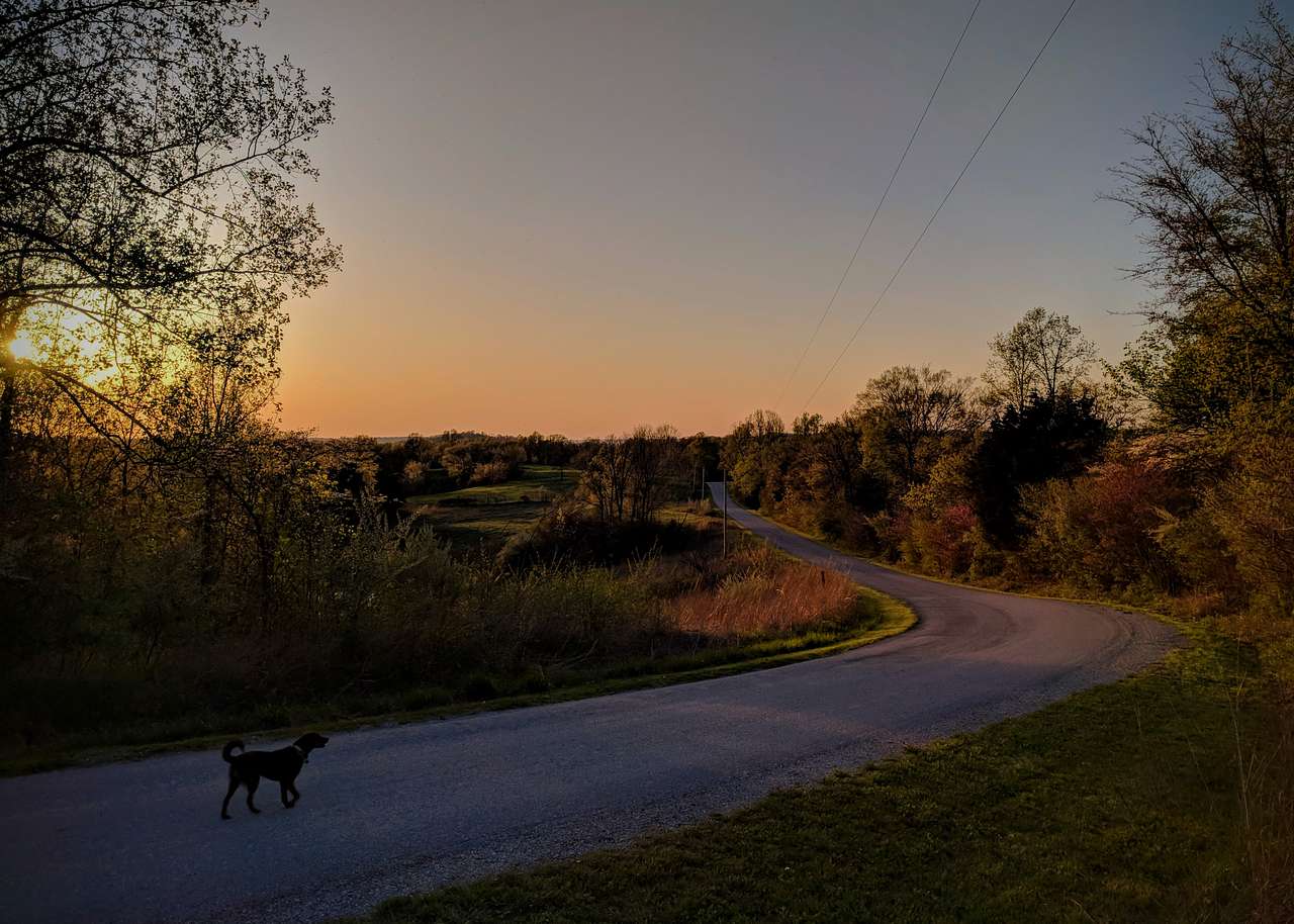 Sunset over Hickory Ridge Road.