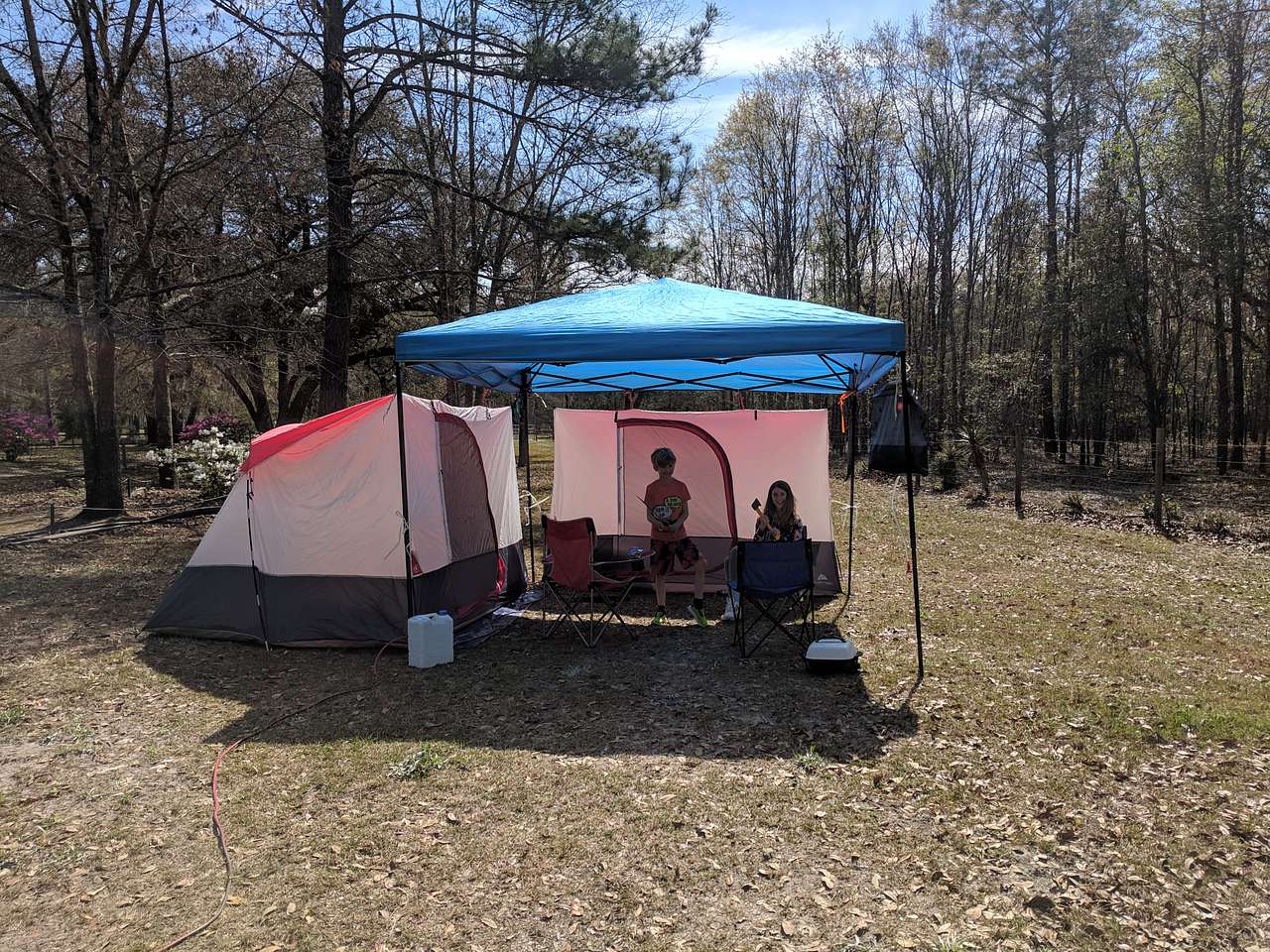Picture of the site