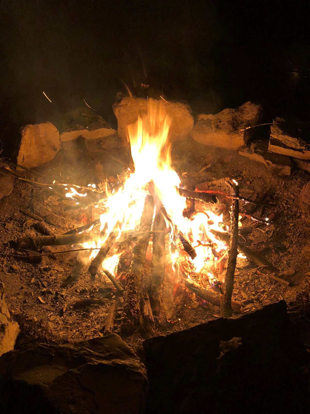 the fire pit is of a decent size, 6-8 feet in diameter, firewood is provided by Camp Blackbird. which is a major plus!