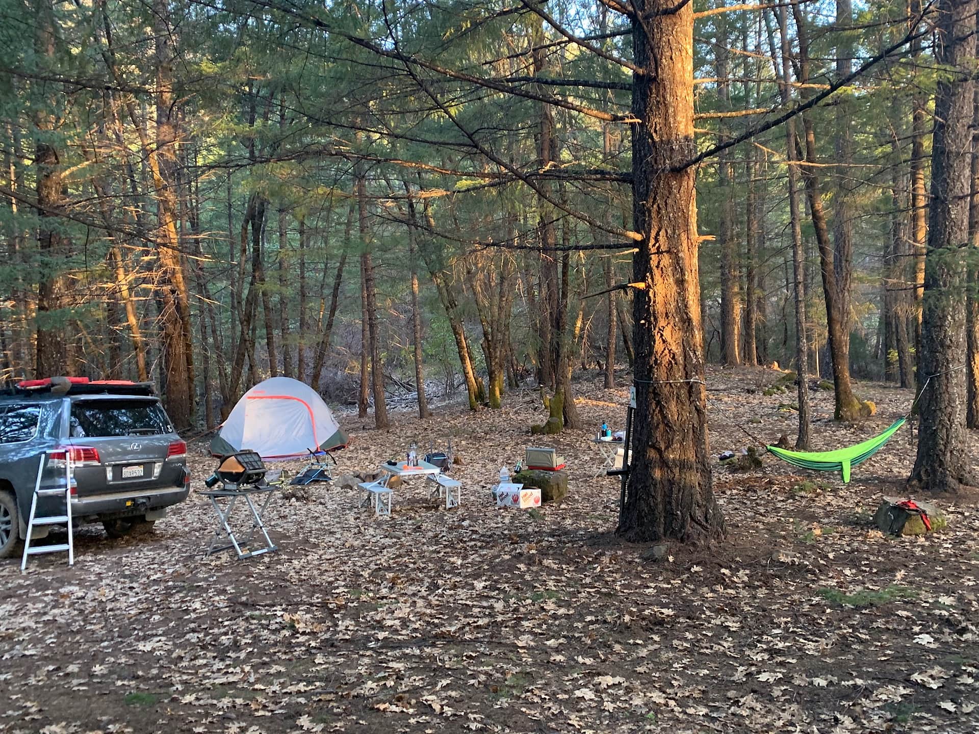 Picture of the site