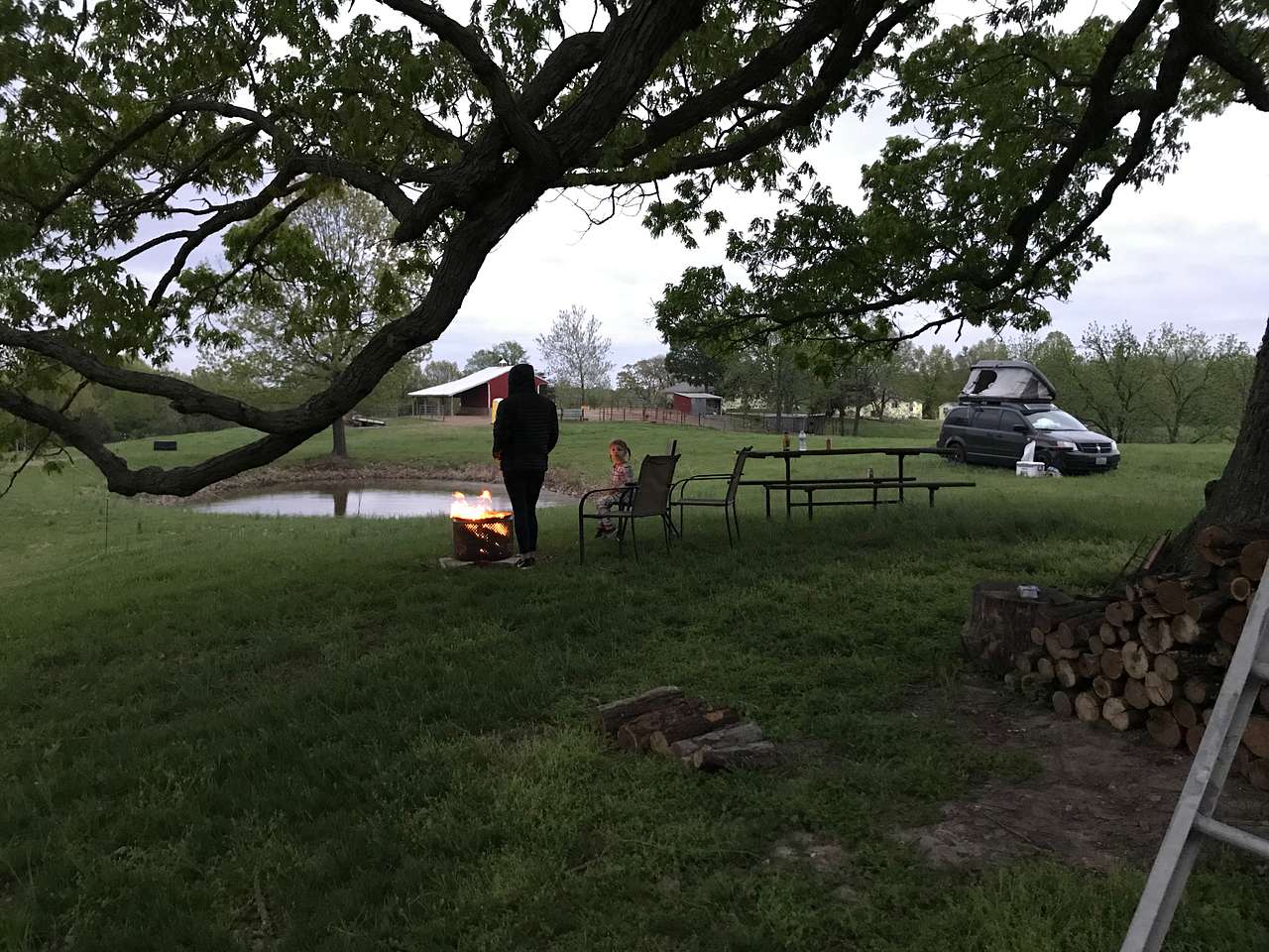 Picture of the site