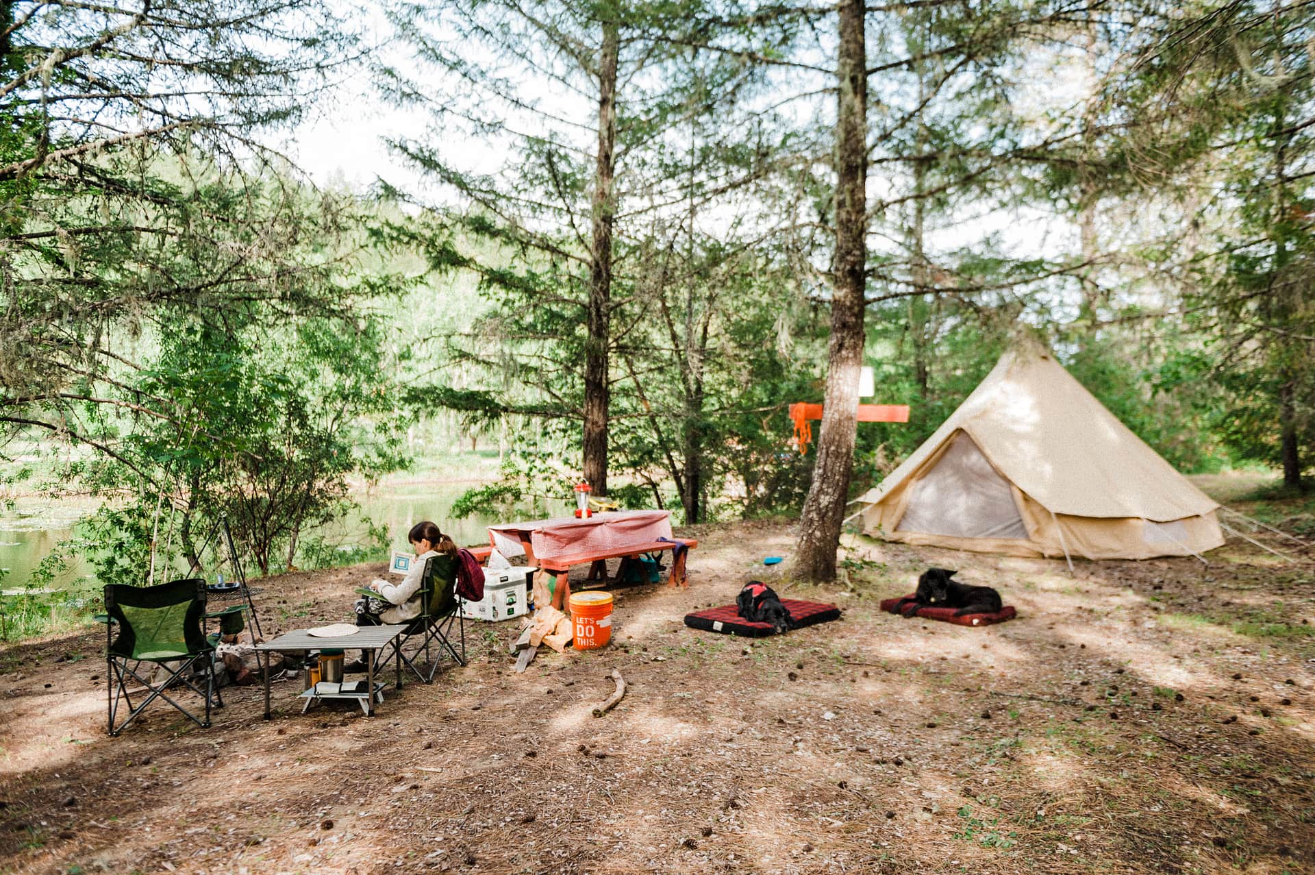 Picture of the site