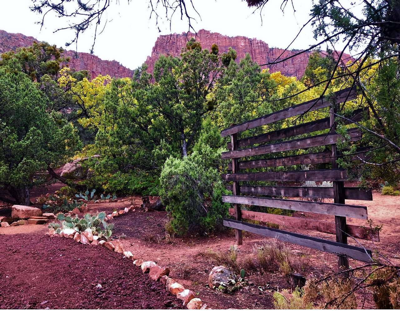 Picture of the site