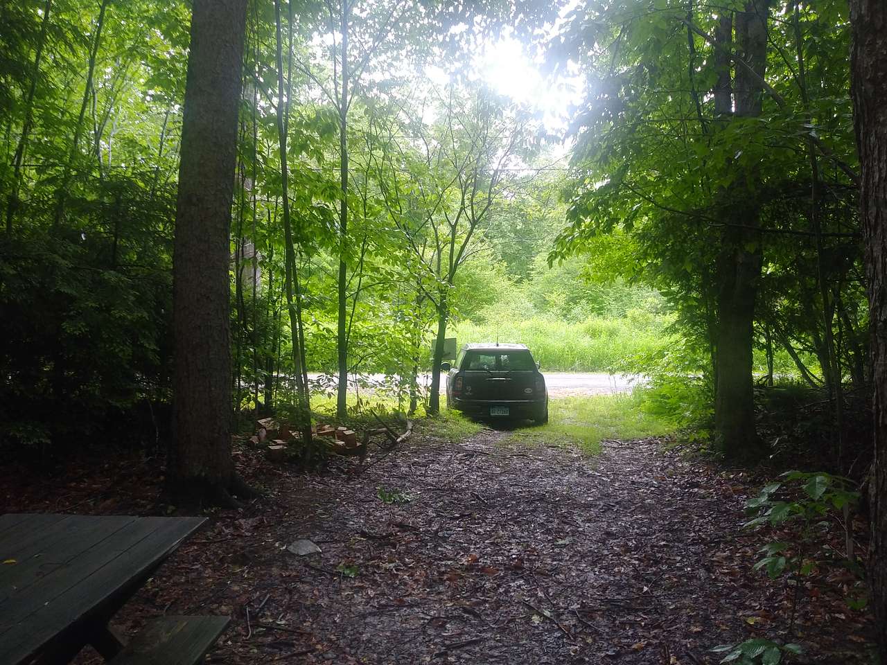 Picture of the site