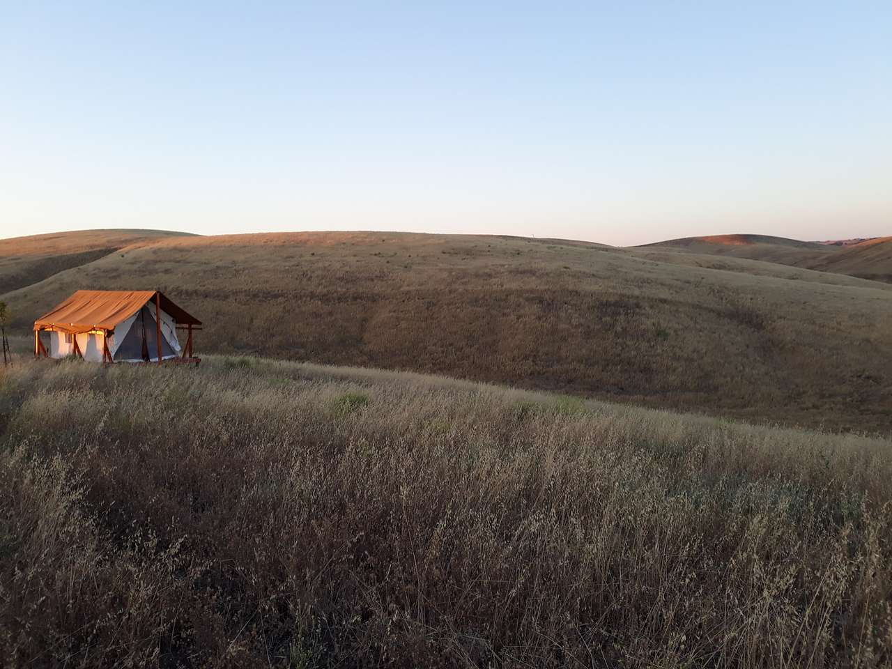 Picture of the site