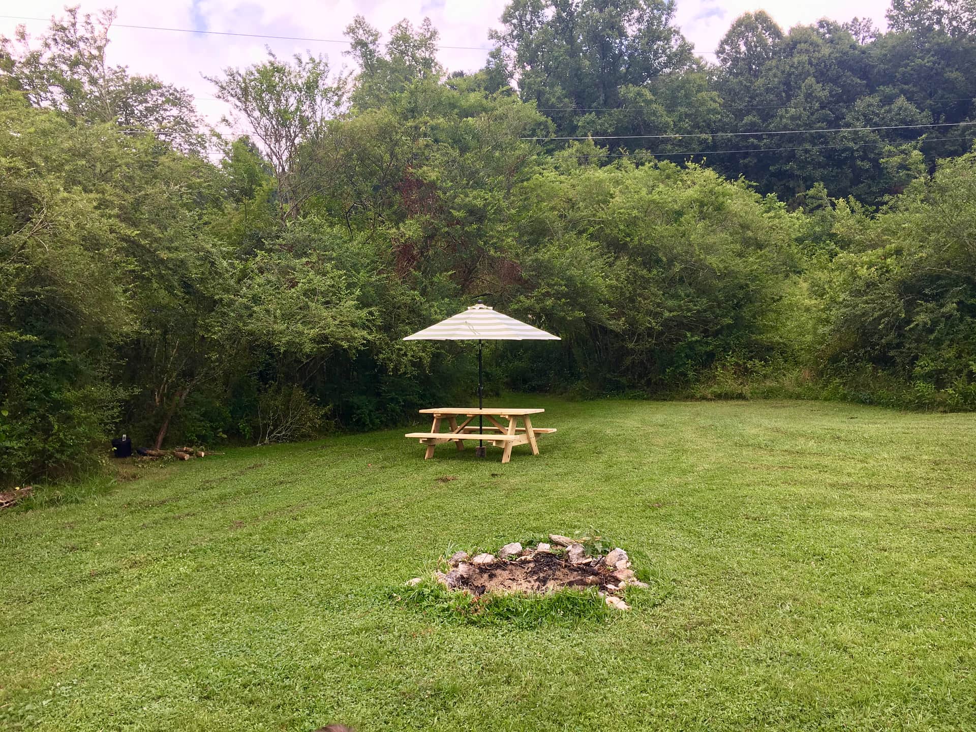 Picture of the site