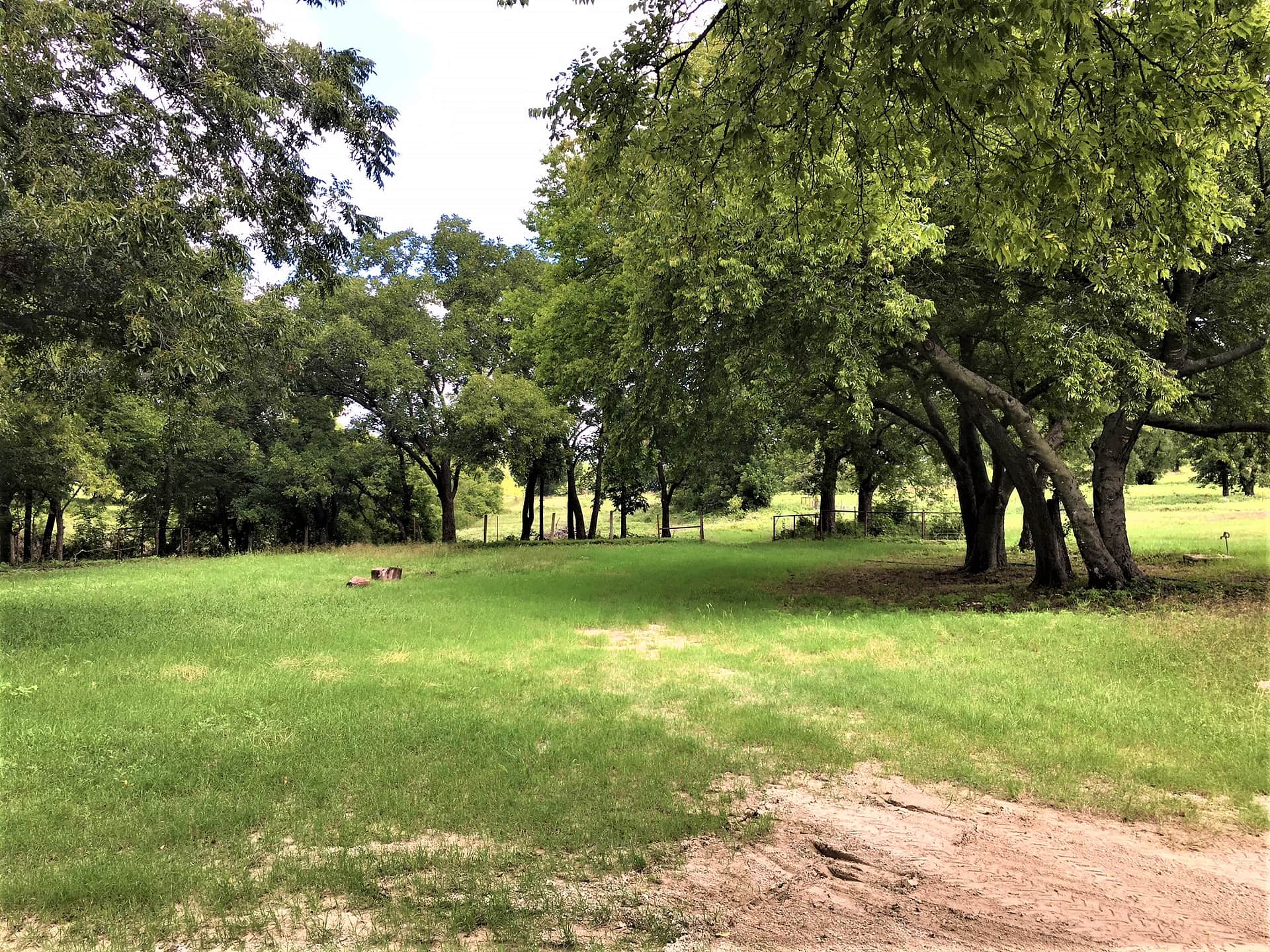 Picture of the site