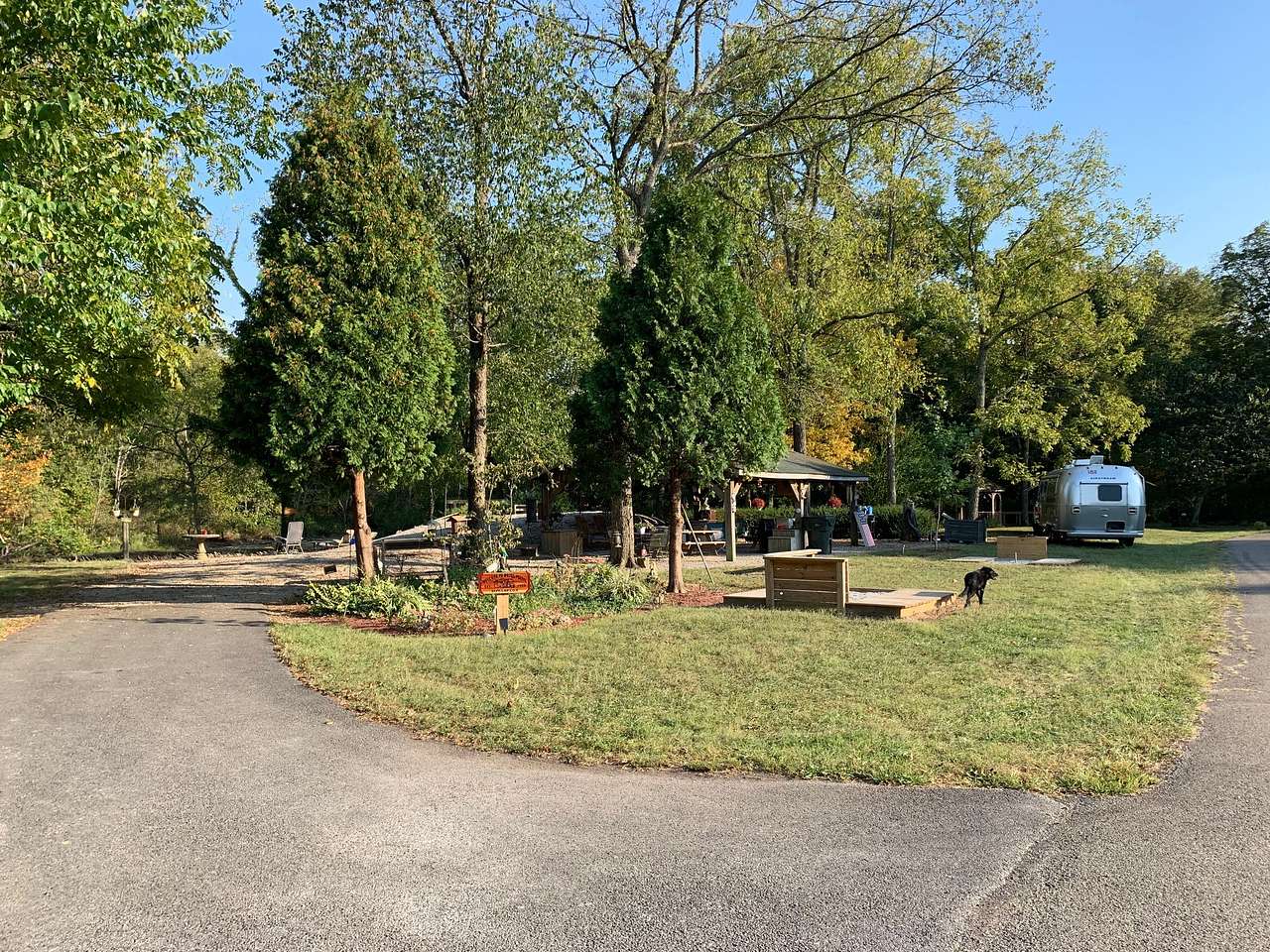Picture of the site